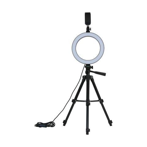 10_ Inch Lamp